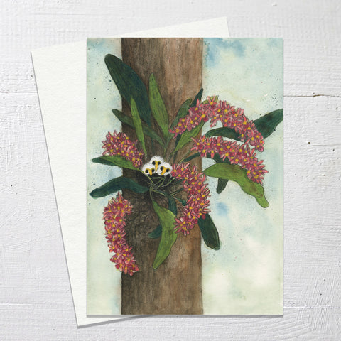 BABY BIRDS IN THE ORCHID  Greetings Card (C03)